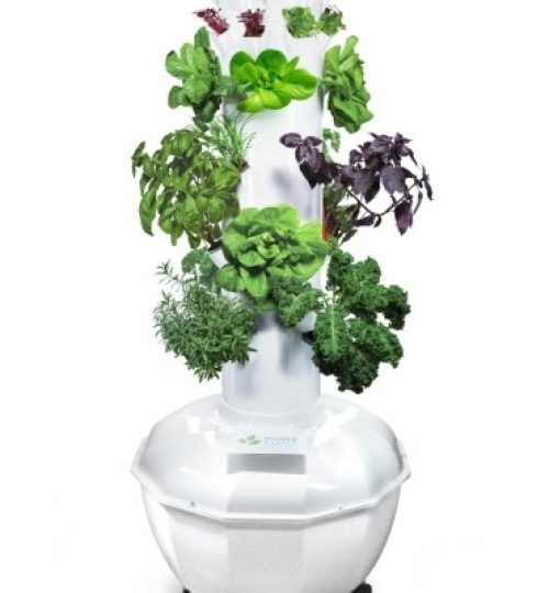 Tower Garden 1