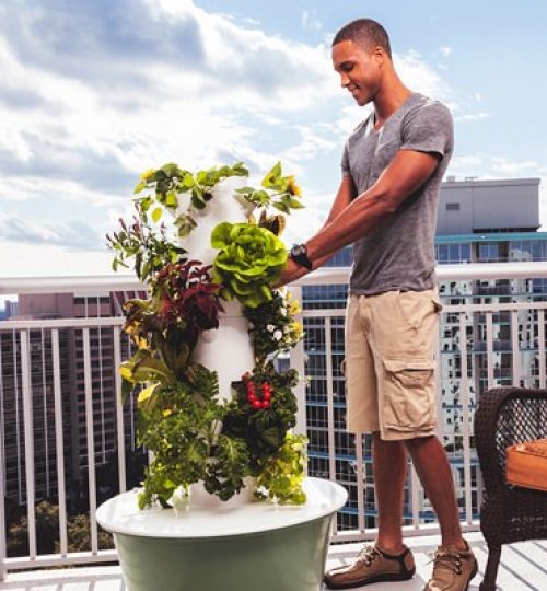 Tower Garden man