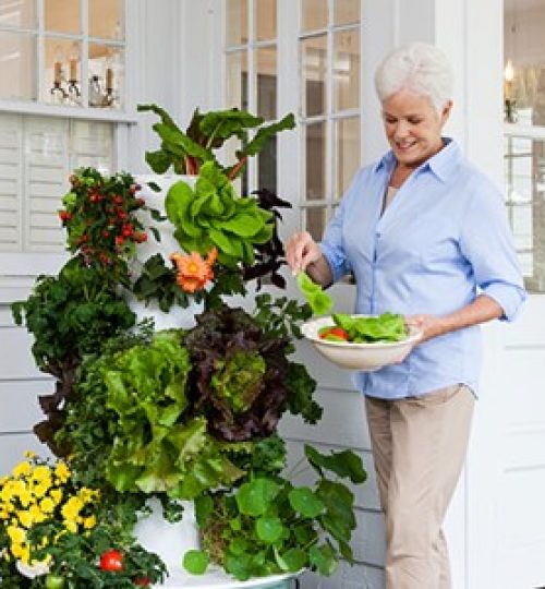 Tower Garden older woman