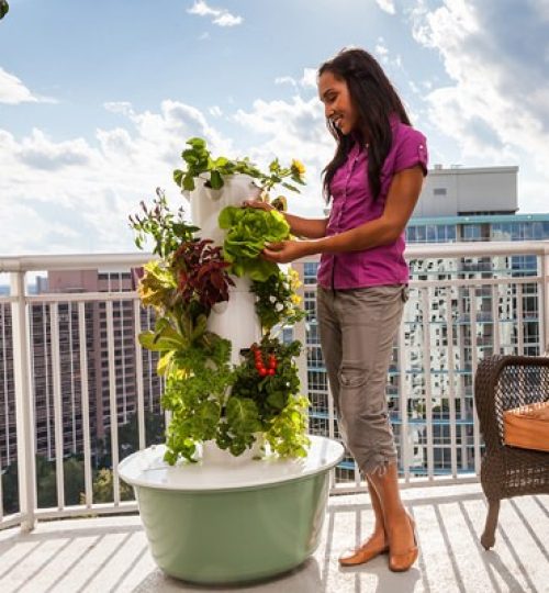 Tower Garden woman